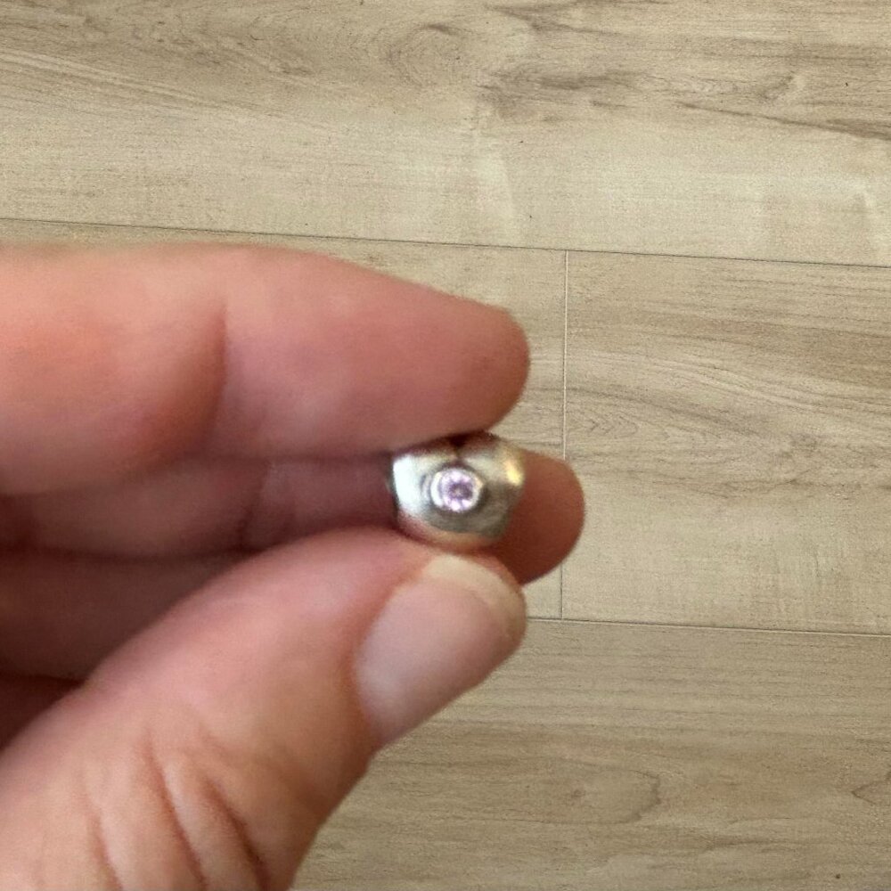 Retired Pandora Charms bundle